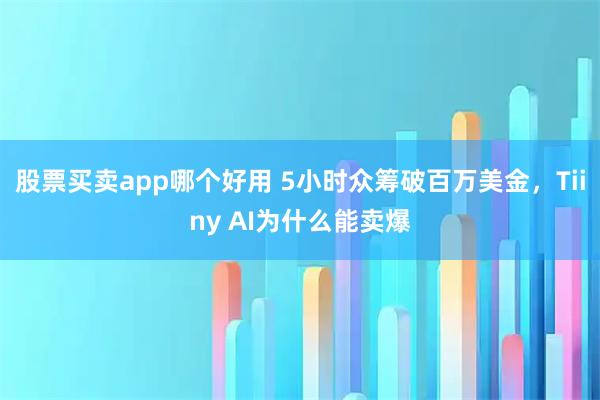股票买卖app哪个好用 5小时众筹破百万美金，Tiiny AI为什么能卖爆